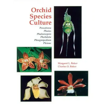 Orchid Species Culture: Pescatorea, Phaius, Phalaenopsis, Pholidota, Phragmipedium, Pleione