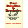 From Rebellion to Revolution: Afro-American Slave Revolts in the Making of the Modern World (Revised)