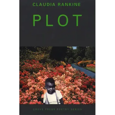 Plot