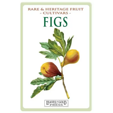 Figs: Rare and Heritage Fruit Cultivars #13