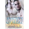 Wild Knights of Heat: Hot Gay Erotica
