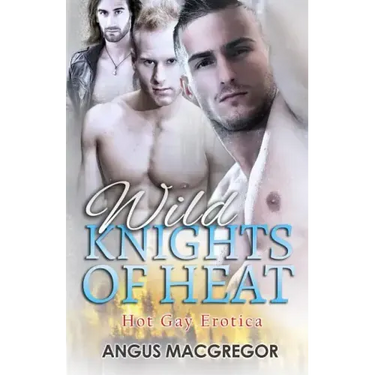 Wild Knights of Heat: Hot Gay Erotica