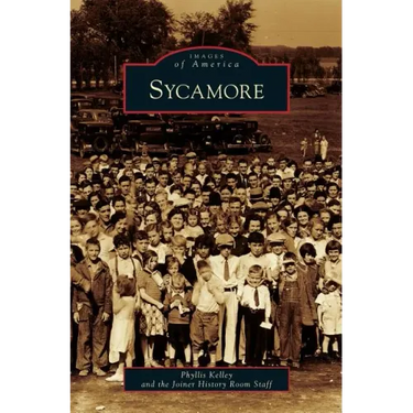 Sycamore