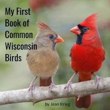 My First Book of Common Wisconsin Birds