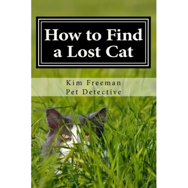 How to Find a Lost Cat: The professional guide to the correct methods for recovering a missing cat