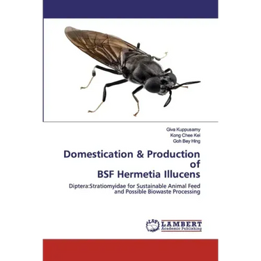 Domestication & Production of BSF Hermetia Illucens