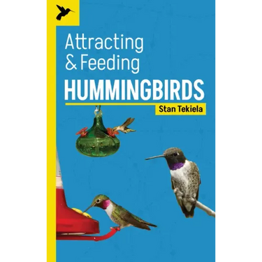 Attracting & Feeding Hummingbirds