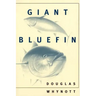 Giant Bluefin