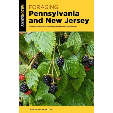 Foraging Pennsylvania and New Jersey: Finding, Identifying, and Preparing Edible Wild Foods