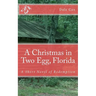 A Christmas in Two Egg, Florida: A Short Novel of Redemption