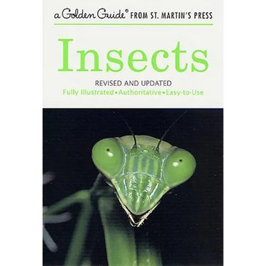 Insects: Revised and Updated