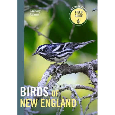 Birds of New England: A Timber Press Field Guide
