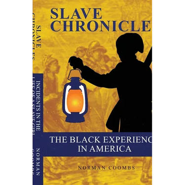 The Black Experience in America
