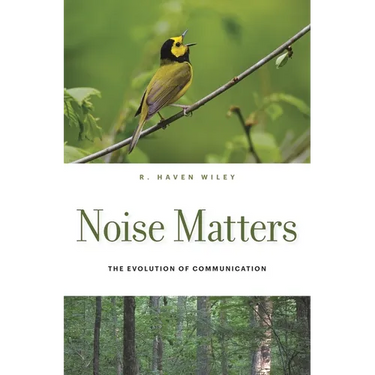 Noise Matters