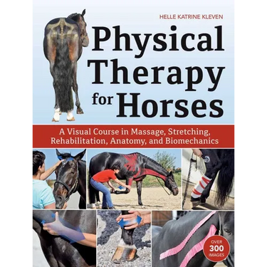 Physical Therapy for Horses