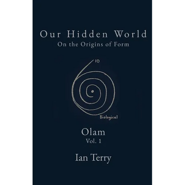 Our Hidden World: On the Origins of Form