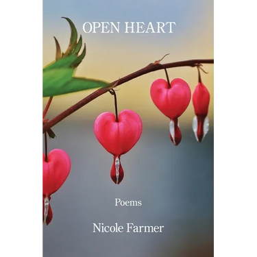 Open Heart