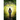 The Scholar