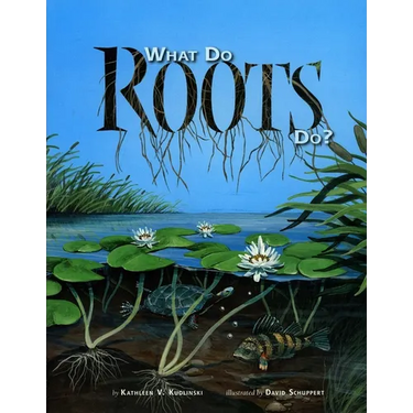 What Do Roots Do?