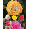 The Rose Revolution: The Journey Of The Sisterhood Of The Rose From Secrecy To Serenity