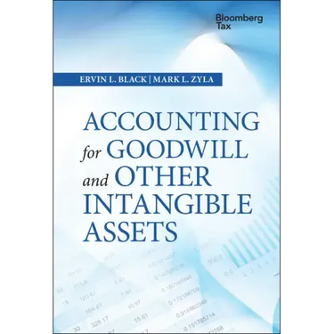 Accounting for Goodwill and Other Intangible Assets