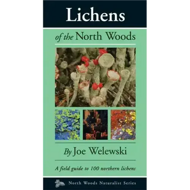 Lichens of the North Woods