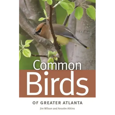 Common Birds of Greater Atlanta