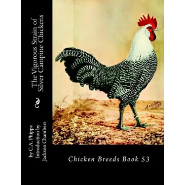 The Vigorous Strain of Silver Campine Chickens: Chicken Breeds Book 53