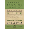 Breeds of Duck - A Large Collection of Articles on Mallards, the Mandarin, the Aylesbury, the Muscovy and Many Other Breeds of Duck