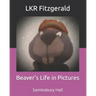 Beaver's Life in Pictures: Samlesbury Hall