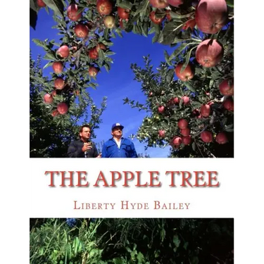 The Apple Tree: A Guide To Growing Apples At Home