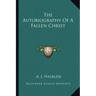 The Autobiography of a Fallen Christ