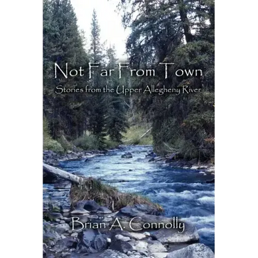 Not Far From Town