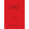The Early Microlithic Assemblages in Soutern Africa
