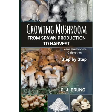 Growing Mushroom From Spawn Production to Harvest: Learn Mushrooms Cultivation Step by Step