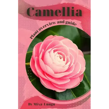Camellia: Plant overview and guide
