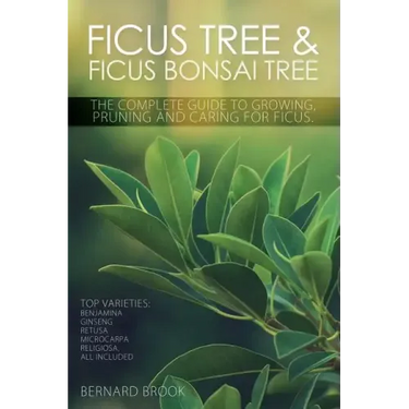 Ficus Tree and Ficus Bonsai Tree. The Complete Guide to Growing, Pruning and Caring for Ficus. Top Varieties: Benjamina, Ginseng, Retusa, Microcarpa,