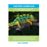 Panther Chameleon: The Ultimate Panther Chameleon Pet Owner's Manual