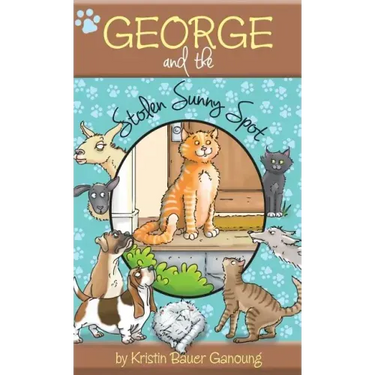 George and the Stolen Sunny Spot