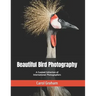 Beautiful Bird Photography: A Curated Collection of International Photographers