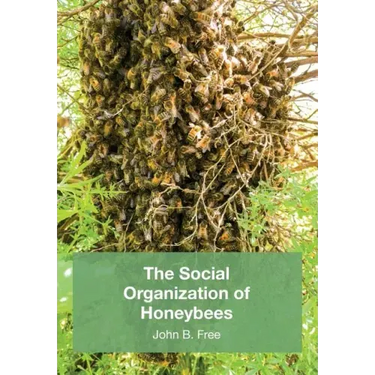 The Social Organisation of Honeybees