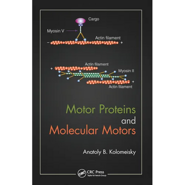 Motor Proteins and Molecular Motors