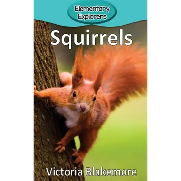 Squirrels