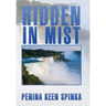 Hidden in Mist