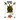 Heart of the Turtle: A Poetry Anthology