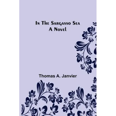 In the Sargasso Sea A Novel