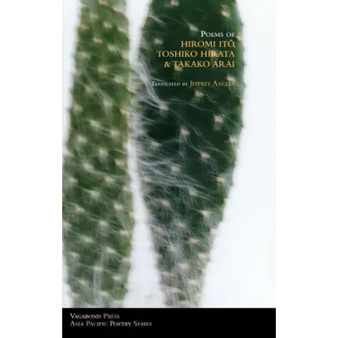 Poems of Hiromi Ito, Toshiko Hirata & Takako Arai
