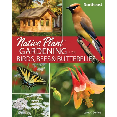 Native Plant Gardening for Birds, Bees & Butterflies: Northeast