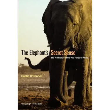 The Elephant's Secret Sense: The Hidden Life of the Wild Herds of Africa