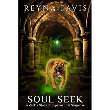 Soul Seek: A Zackie Story